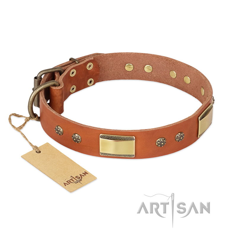 "Enchanting Spectacle" FDT Artisan Tan Leather Pitbull Collar with Old Bronze Look Plates and Round Studs