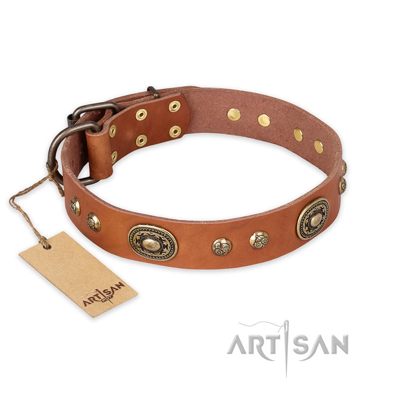 "Stunning Dress" FDT Artisan Tan Leather Pitbull Collar with Old Bronze Look Plates and Studs