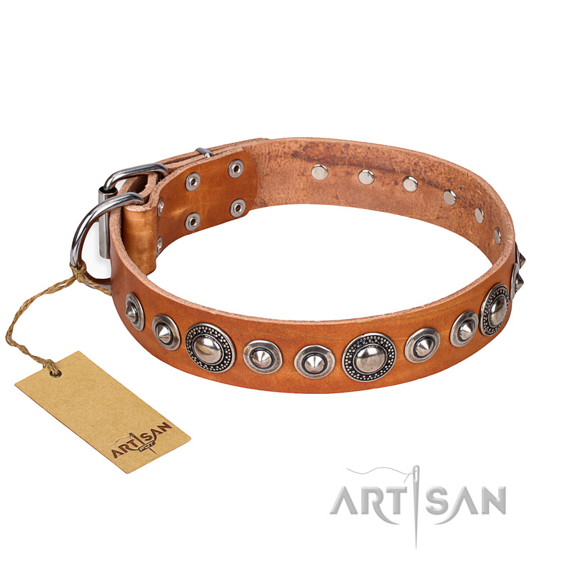 "Daily Chic" FDT Artisan Tan Leather Pitbull Collar with Decorations
