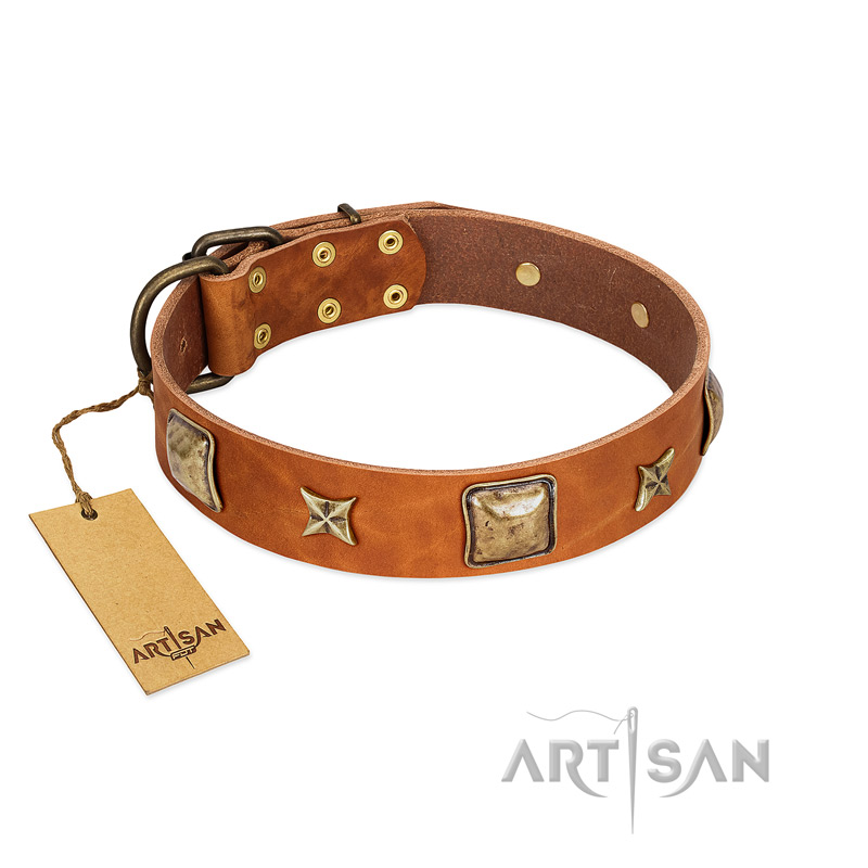 "Celtic Tunes" FDT Artisan Tan Leather Pitbull Collar Adorned with Stars and Squares