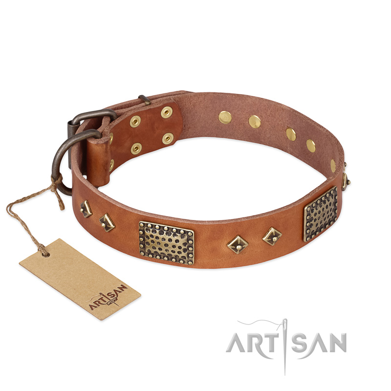 "Catchy Look" FDT Artisan Decorated Tan Leather Pitbull Collar - Click Image to Close