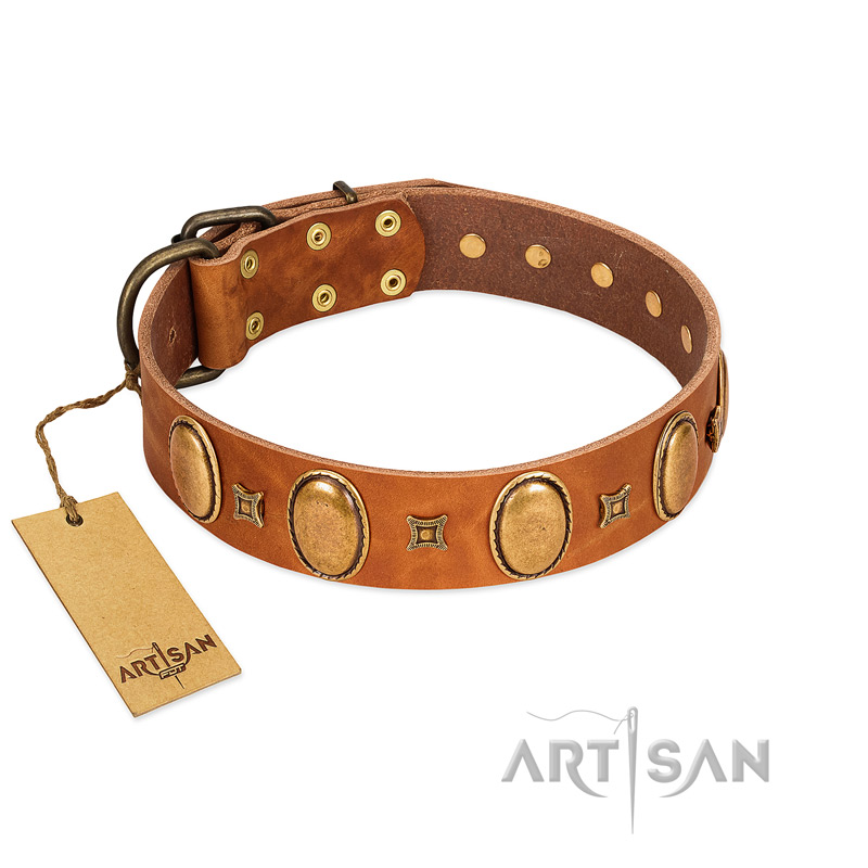 "Glossy Autumn" Designer Handmade FDT Artisan Tan Leather Pitbull Collar with Ovals and Studs
