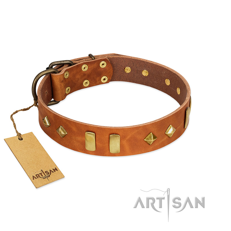 "Woofy Dawn" FDT Artisan Tan Leather Pitbull Collar with Plates and Rhombs