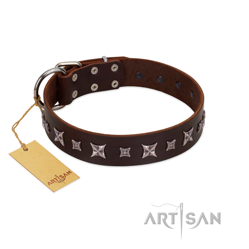 "Stellar Fairy " FDT Artisan Brown Leather Pitbull Collar with Chrome-plated Star-like Decorations