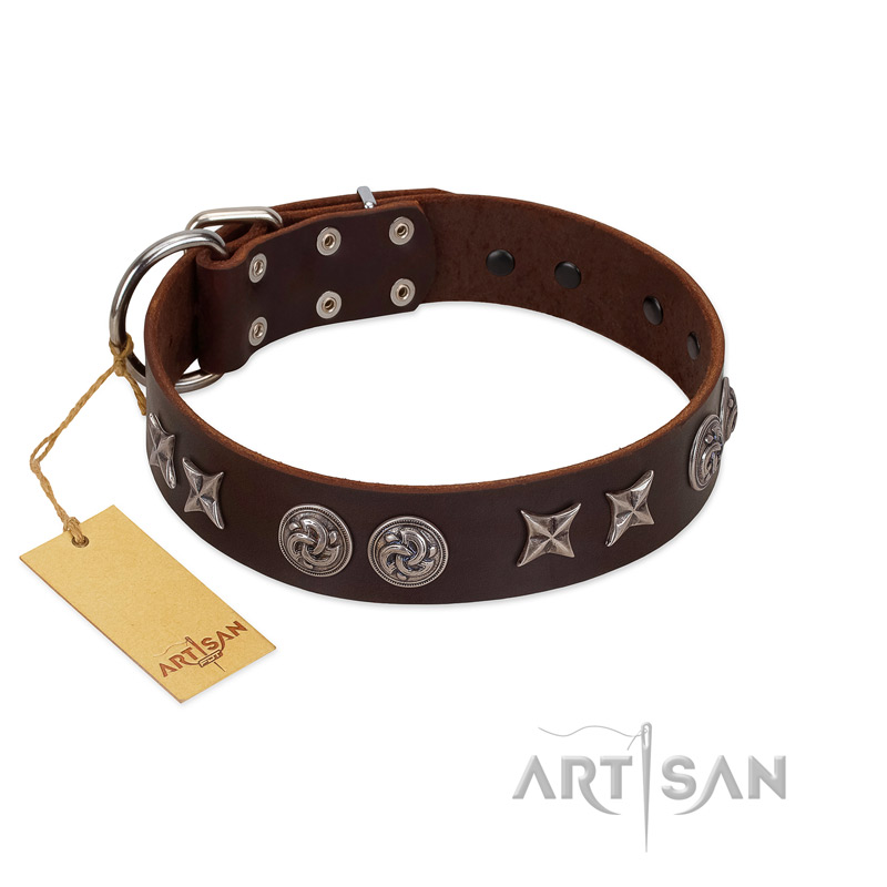 "Silver Sunset" Designer Handmade FDT Artisan Brown Leather Pitbull Collar