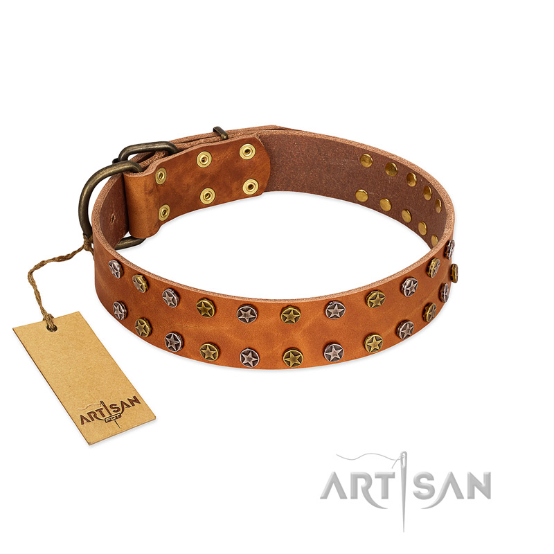 "Walk and Shine" FDT Artisan Tan Leather Pitbull Collar with Antiqued Studs