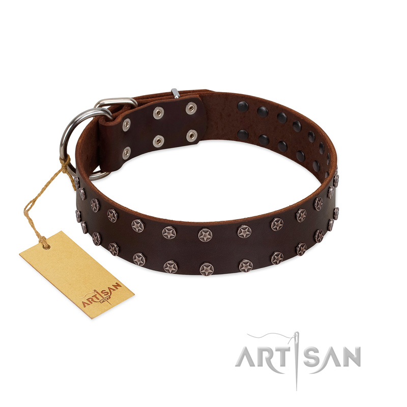 "Star Party" Handmade FDT Artisan Brown Leather Pitbull Collar with Silver-Like Studs - Click Image to Close