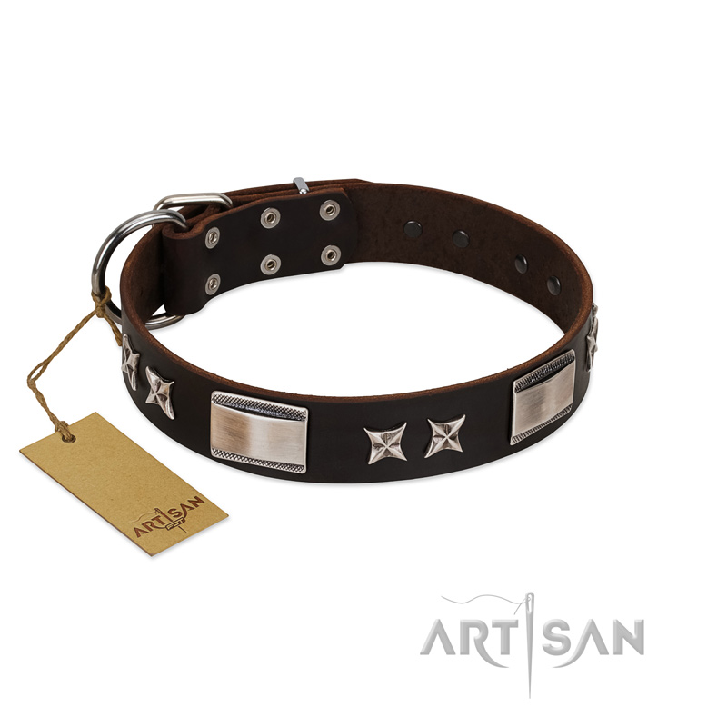 "Satin Beauts" FDT Artisan Brown Leather Pitbull Collar with Stars and Plates