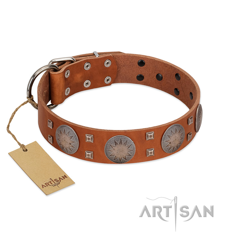 Unique clearance dog leashes