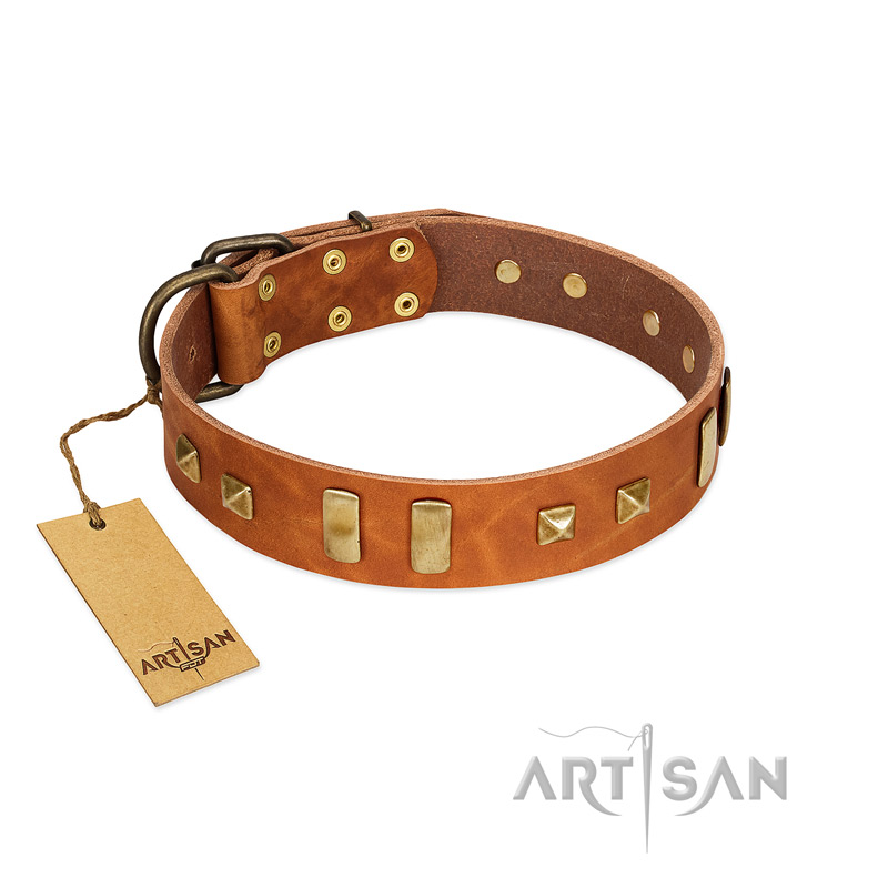 "Sand of Time" FDT Artisan Tan Leather Pitbull Collar with Old Bronze-like Studs and Plates