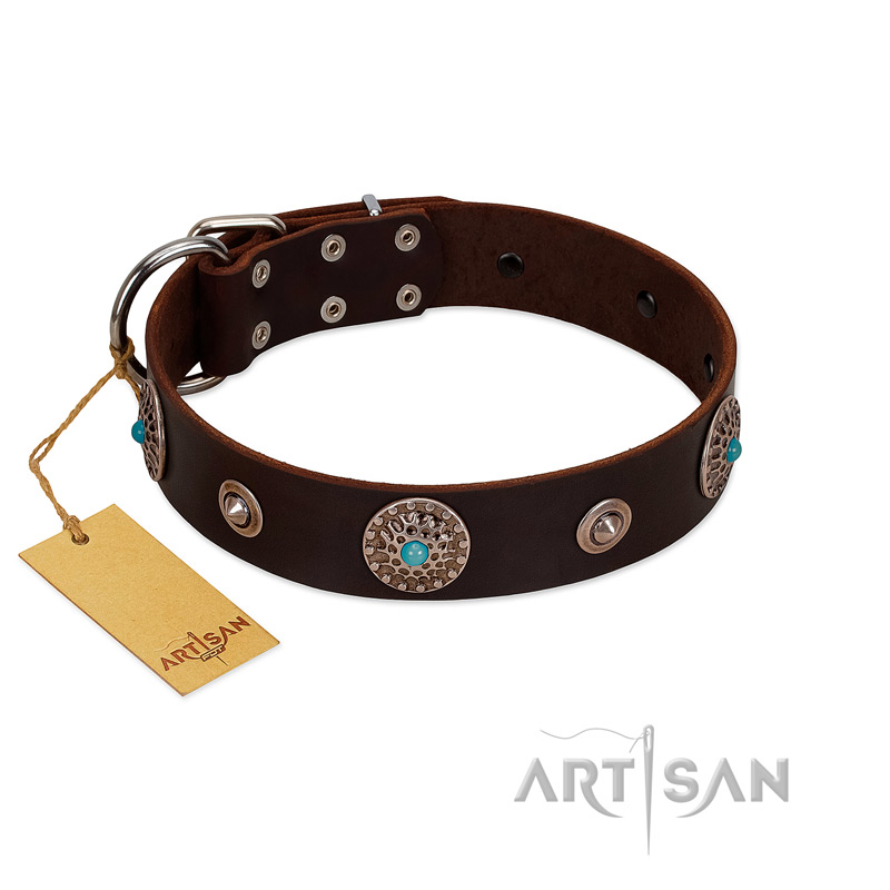 "Magic Stones" FDT Artisan Brown Leather Pitbull Collar with Chrome Plated Brooches and Studs