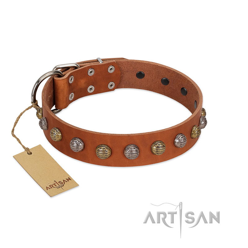 "Dogue-Vogue" FDT Artisan Tan Leather Pitbull Collar with Engraved Chrome-plated Studs - Click Image to Close