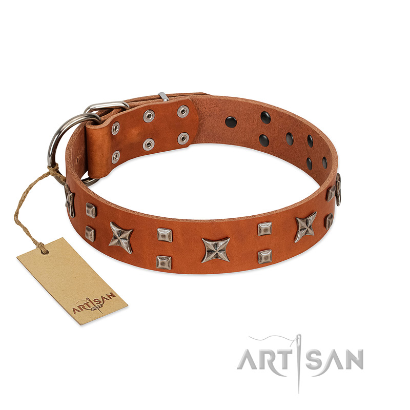 "Faraway Galaxy" FDT Artisan Tan Leather Pitbull Collar Adorned with Stars and Squares