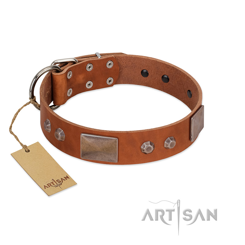 Leather pitbull collars sale