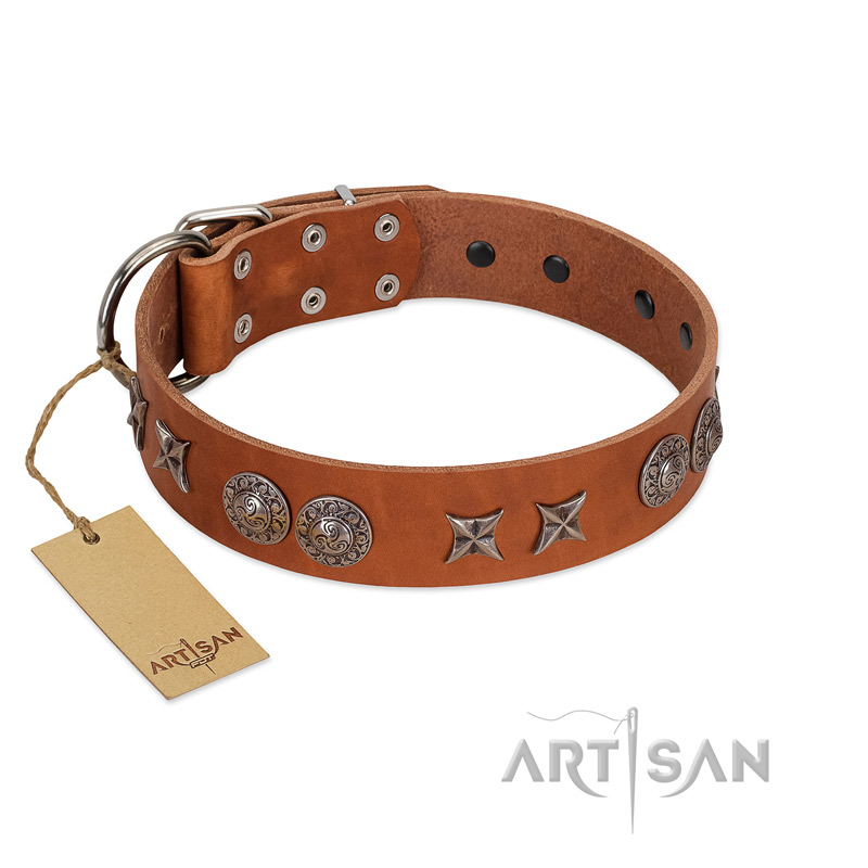"Splendid Armor" Premium Quality FDT Artisan Tan Designer Pitbull Collar with Shields and Stars - Click Image to Close