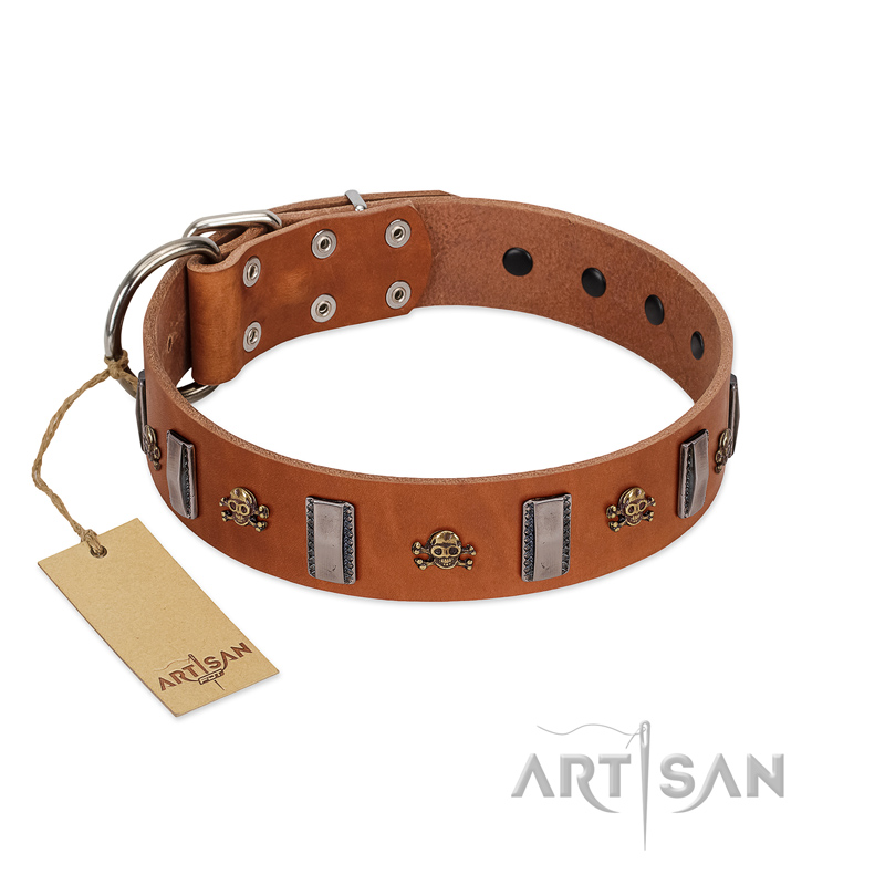 "Golden Crossbones" Handmade FDT Artisan Tan Leather Pitbull Collar with Plates and Skulls
