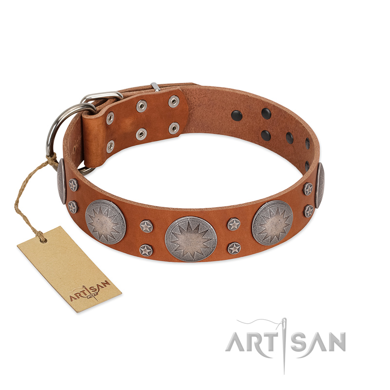 "Far Star" FDT Artisan Tan Leather Pitbull Collar with Engraved Studs