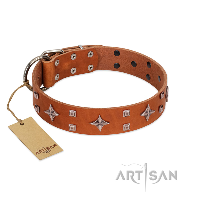 "Tawny Beauty" FDT Artisan Tan Leather Pitbull Collar Adorned with Stars and Tiny Squares