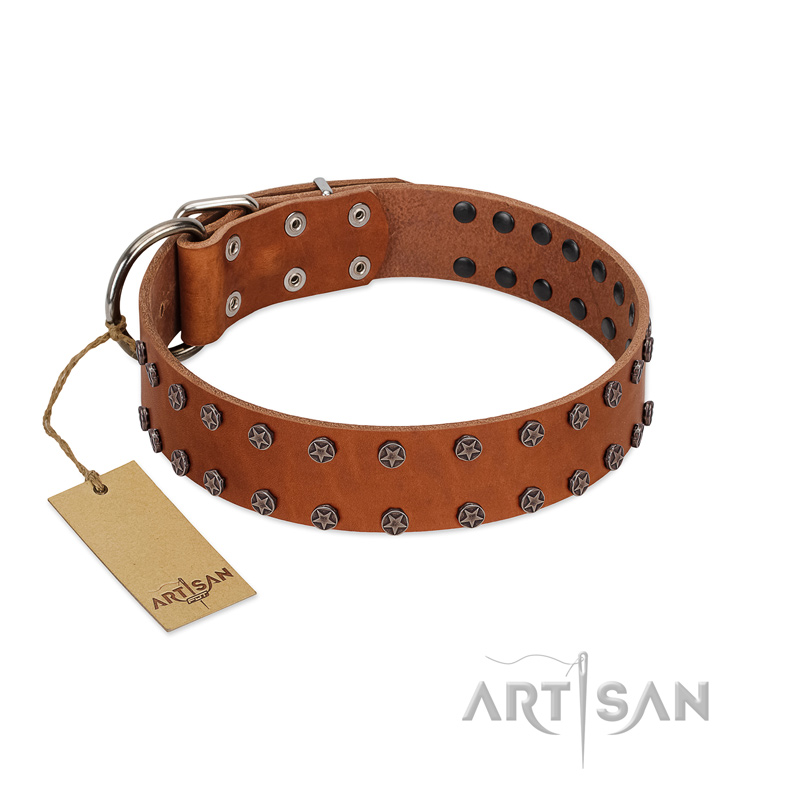 "Star Light" Stylish FDT Artisan Tan Leather Pitbull Collar with Silver-Like Studs