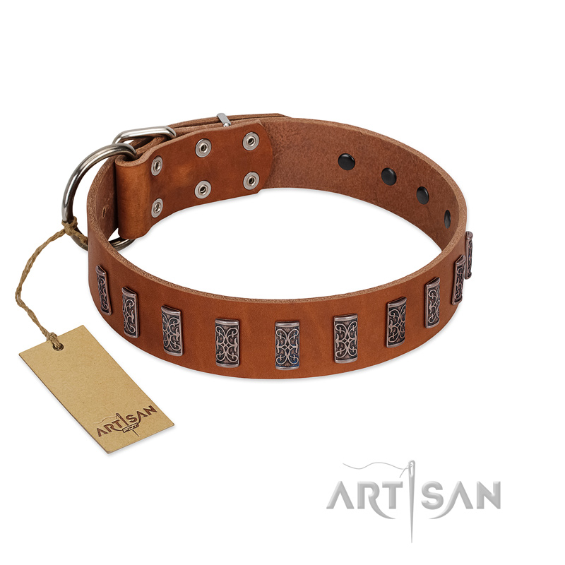"Silver Century" Fashionable FDT Artisan Tan Leather Pitbull Collar with Silver-Like Plates - Click Image to Close