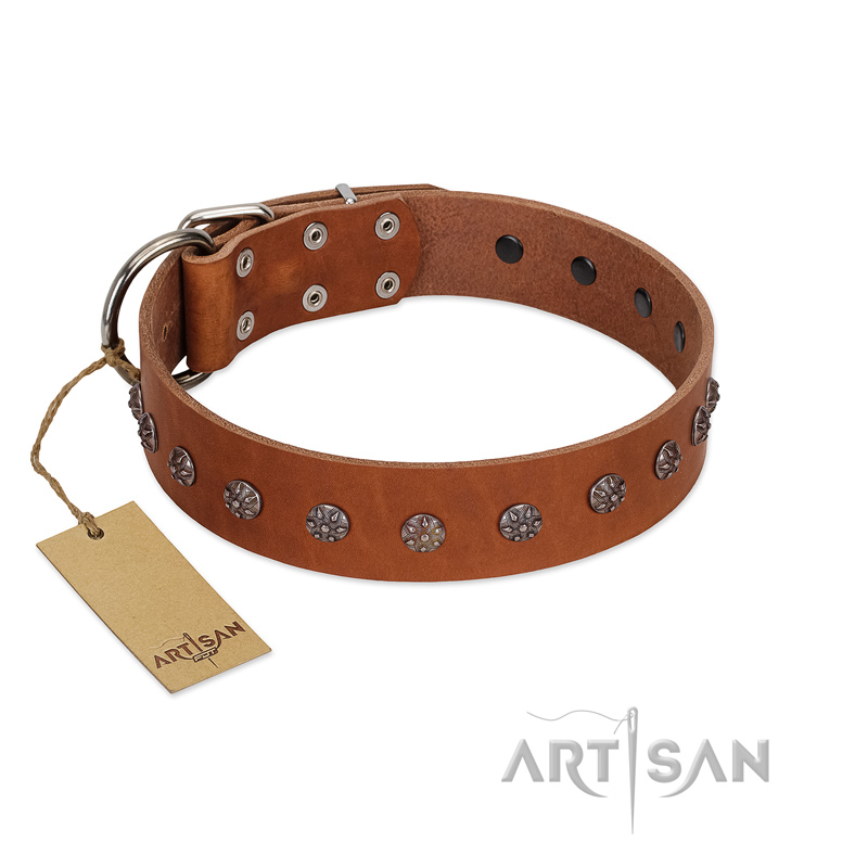 "Daintiness" Designer Handmade FDT Artisan Tan Leather Pitbull Collar with Silver-Like Adornments