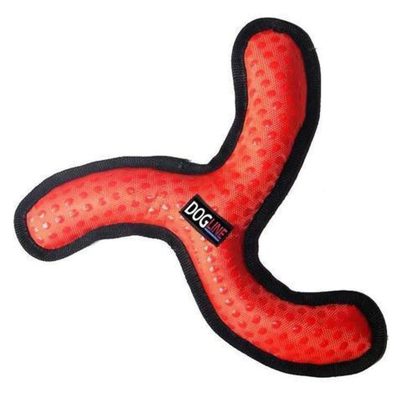 Boomerang best sale pitbull dog
