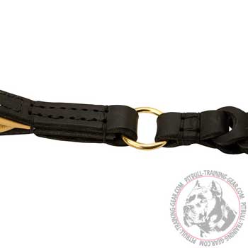 Brass Ring on Leather Dog Leash Handle