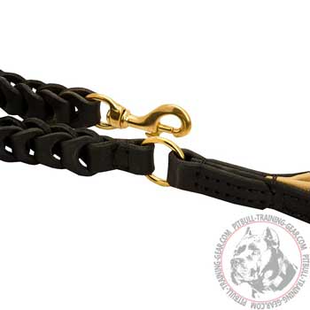 Brass Snap Hook on Designer Leather Dog Lead