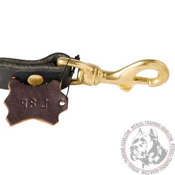 Heavy-Duty Brass Snap Hook on Short Leather Dog Lead for its Attachment