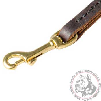 Brass Snap Hook on Pull Tab Leather Dog Leash
