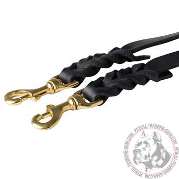 Reliable Brass Snap Hooks on Braided Leather Dog Coupler