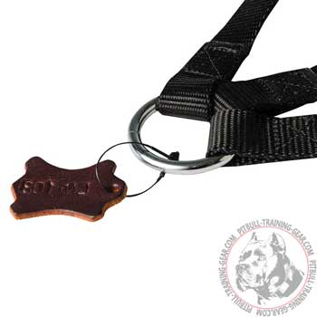 Rust Proof Nickel-Plated Ring on Nylon Dog Coupler Leash