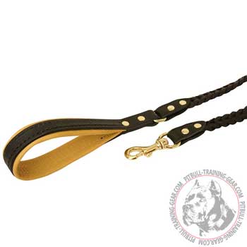 Padded Handle and Brass Fittings on Hand Braided Leather Dog Leash