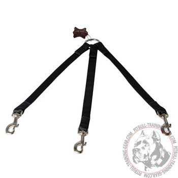 Walking Nylon Pit Bull Coupler Lead Stitched to Prolong its Life Span