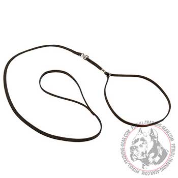 Pitbull Combo Lead & Collar for Dog Show