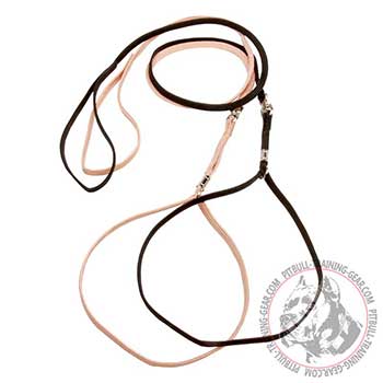 Pitbull Dog Show Set Including Nylon Leash and Collar