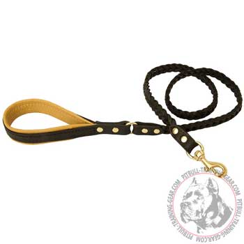 Designer Leather Dog Lead for Pitbull with Gold-Like Brass Hardware