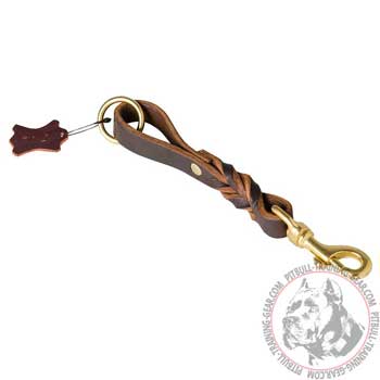 Braided Leather Dog Lead for Pitbull with Heavy-Duty Brass Fittings