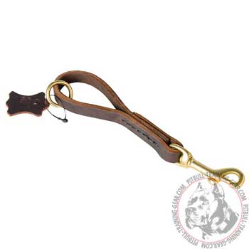 Pull Tab Leather Dog Leash for Pitbull with Heavy-Duty Brass Fittings