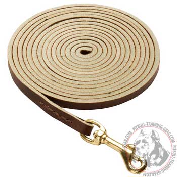 Professional Leather Pitbull Leash with Heavy-Duty Brass Hook