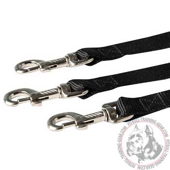 Three Duly Welded Nickel-Plated Snap Hooks on Nylon Dog Coupler