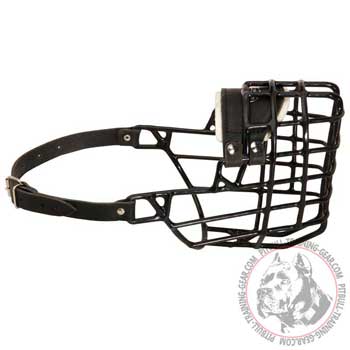 American Pitbull muzzle wire for winter with easy adjustable head strap