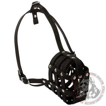 American Pitbull muzzle mesh cage