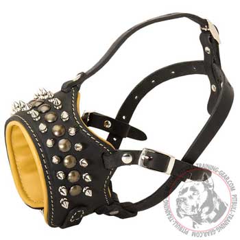 Padded Leather American Pitbull Muzzle for Anti-Bark Training