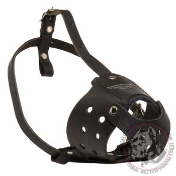 American Pitbull muzzle for anti-barking effect