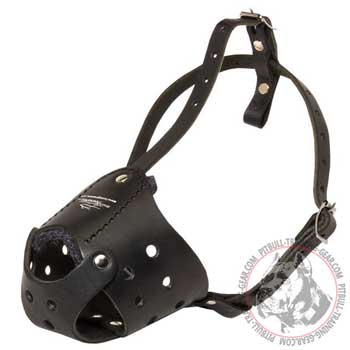 Leather muzzle for Pitbull for bark prevention