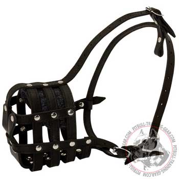 Leather muzzle for Pitbull with super air  flow
