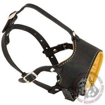  Leather Dog Muzzle for Pitbull Padded with Soft Nappa