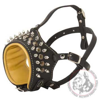 Spiked Leather Dog Muzzle for Pitbull Padded with Soft Nappa