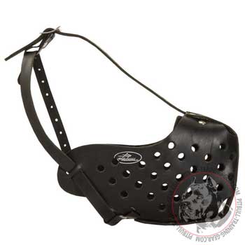 Leather Pitbull muzzle for training and walking